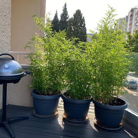 Big Tree Apartment & The Nest Apartment - Free Parking Μόσταρ Εξωτερικό φωτογραφία