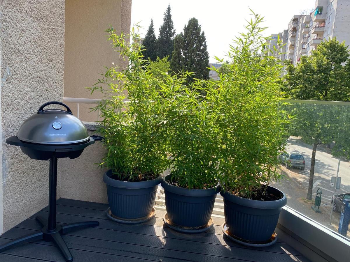 Big Tree Apartment & The Nest Apartment - Free Parking Μόσταρ Εξωτερικό φωτογραφία