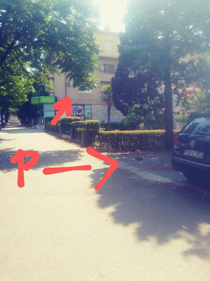 Big Tree Apartment & The Nest Apartment - Free Parking Μόσταρ Εξωτερικό φωτογραφία